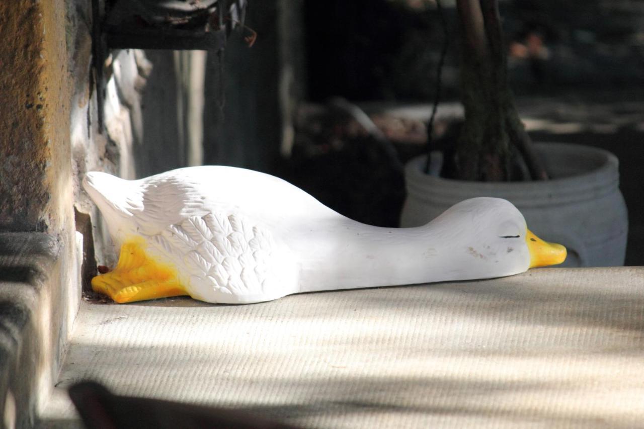 Le Jardin Sarlat Bed & Breakfast エクステリア 写真