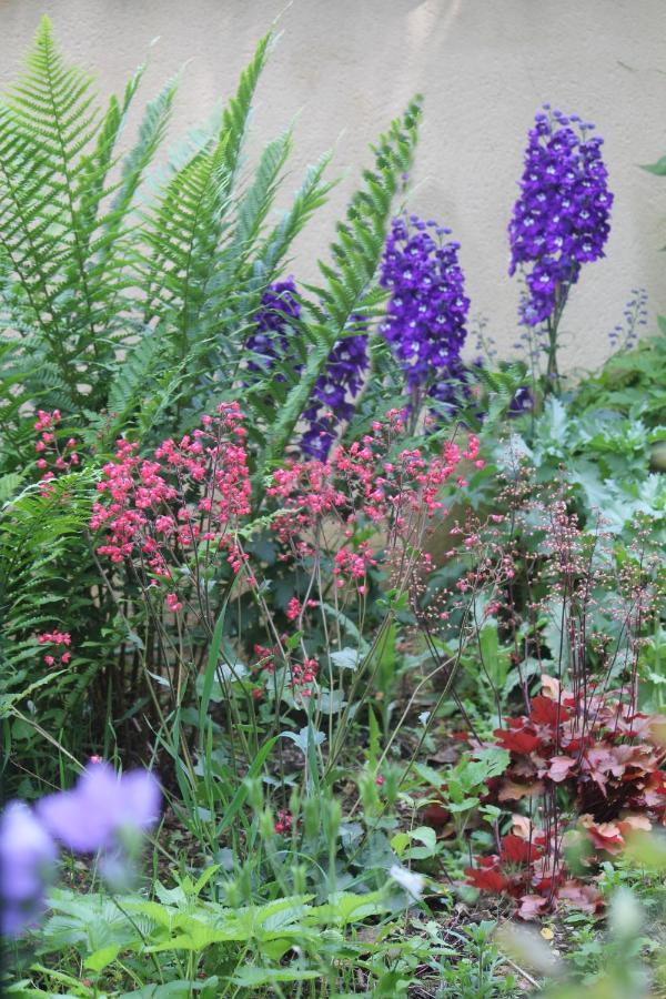 Le Jardin Sarlat Bed & Breakfast エクステリア 写真